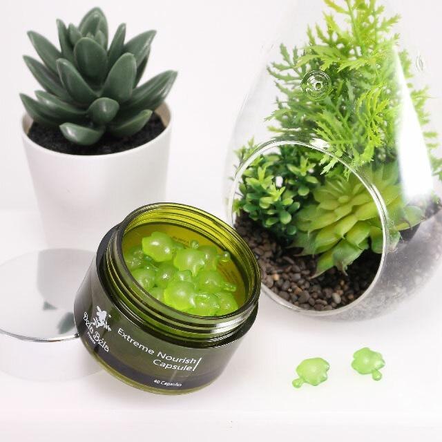 Dela Bela 萃養修護海藻膠囊