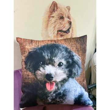 【汪汪小星】療癒系抱枕