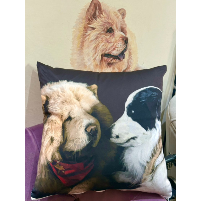 汪汪小星 療癒系抱枕